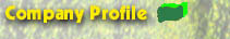 Company Profile